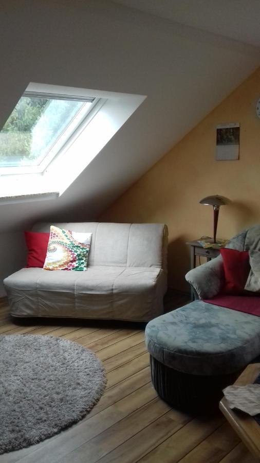 Appartamento Haus Am Park Thallwitz Esterno foto